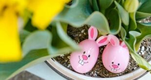 Two pink Easter eggs are nestled in a tulip pot.