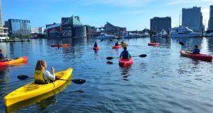 4 Family-Friendly Waterfront Activities at the Inner Harbor