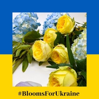 Blooms for Ukraine