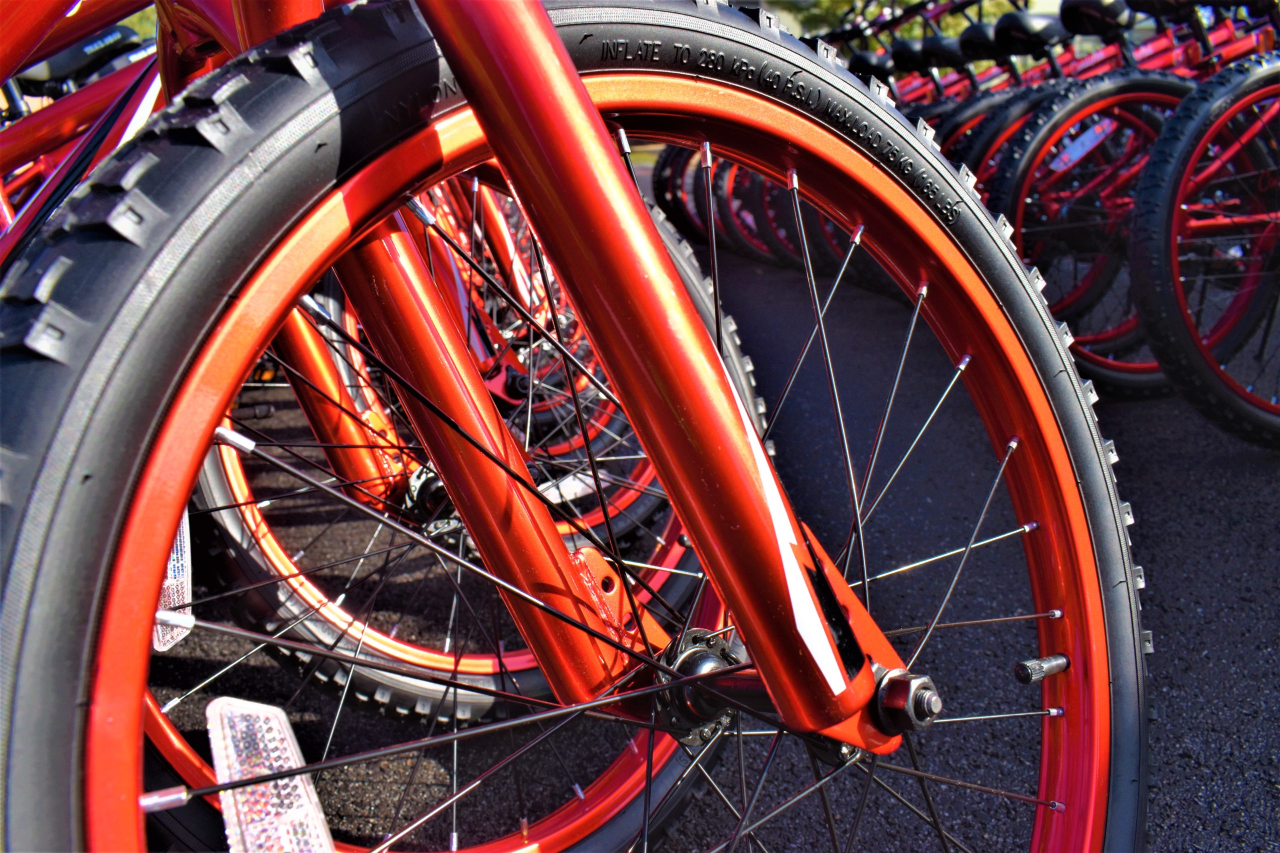 The shiny spokes of a bike wheel.