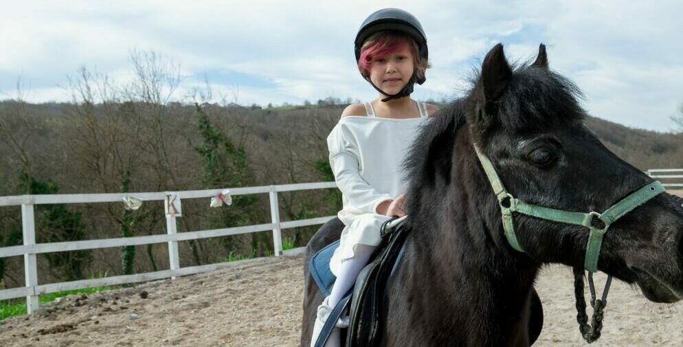 Explore Equine therapy and fall fun with “Hay Neighbors”