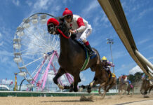 Photo of a person riding a horse against a sunny blue sky and a Ferris wheel in the background.