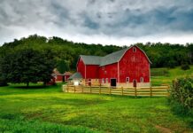 Eating Local in Charm City