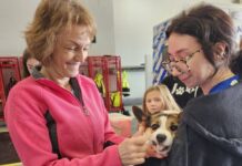 Humane Society Clinic to Provide Pet Vaccinations in Harford County