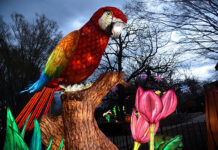 Minecraft, Chemistry and More This Week in Baltimore: June 6-8