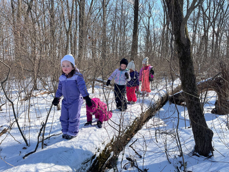 snow log balancing 1 768x576