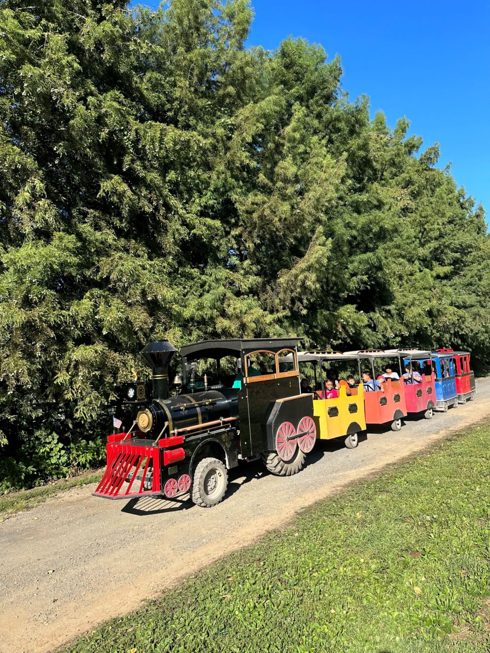 A small trackless train at Clark's Elioak Farm