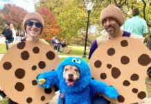 Two people dressed as cookies pose with a dog dressed as Cookie Monster from Sesame Street