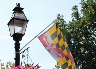 The Maryland flag hanging on a street light