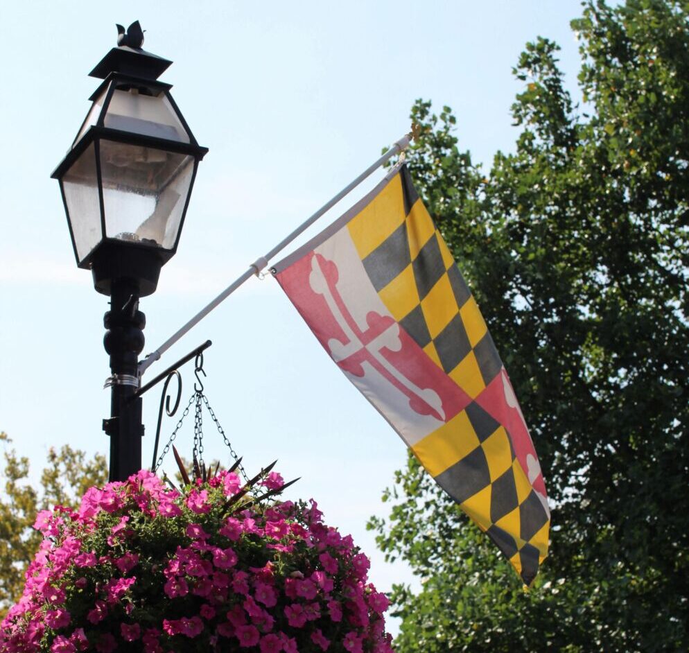 The Maryland flag hanging on a street light