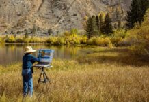 Plein air painting