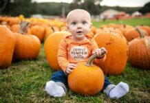 A toddler wearing an orange shirt that says "Cutest Pumpkin in the Patch" sits holding a pumpkin among other pumpkins in a patch.