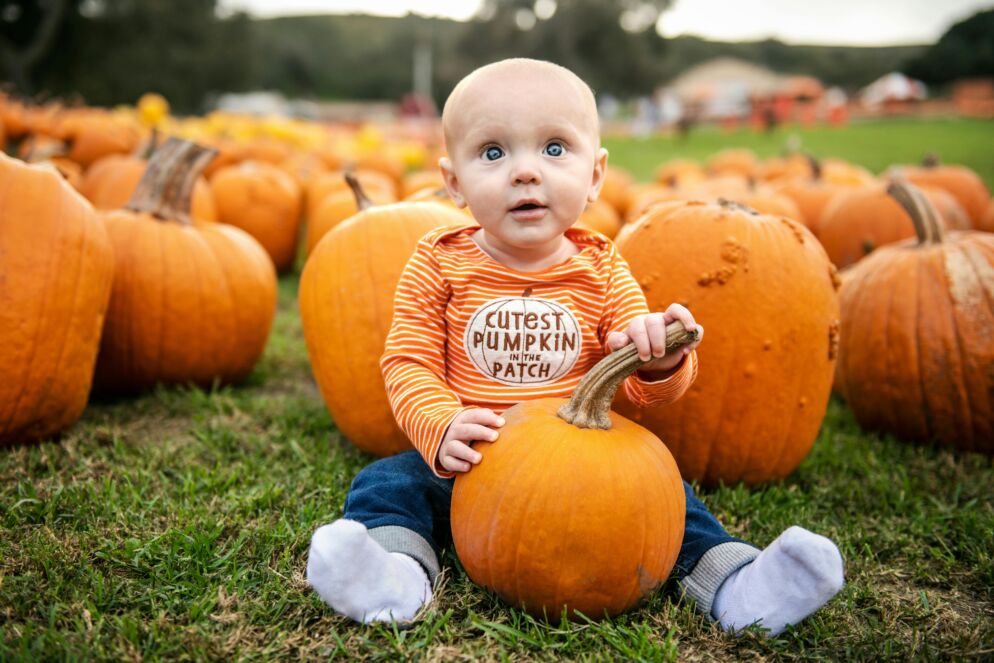 A toddler wearing an orange shirt that says "Cutest Pumpkin in the Patch" sits holding a pumpkin among other pumpkins in a patch.