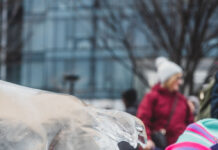 Harbor Point Ice Fest