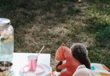 Stuffed animals at a picnic