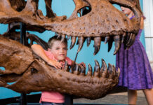 The Best Events in Baltimore This June A child posing with a dinosaur skull at the Maryland Science Center