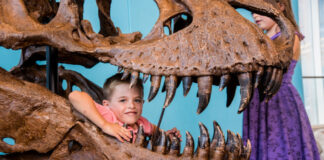 A child posing with a dinosaur skull at the Maryland Science Center