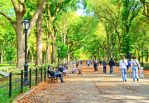 On Bored: Traveling With My 15-Year-Old to New York