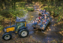 The Best Events in Baltimore This July A hayride through the creek during Summer Creek Days