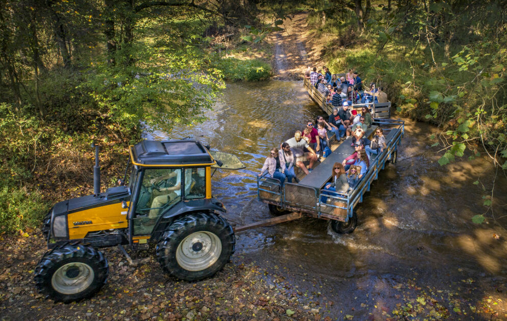 A hayride through the creek during Summer Creek Days
