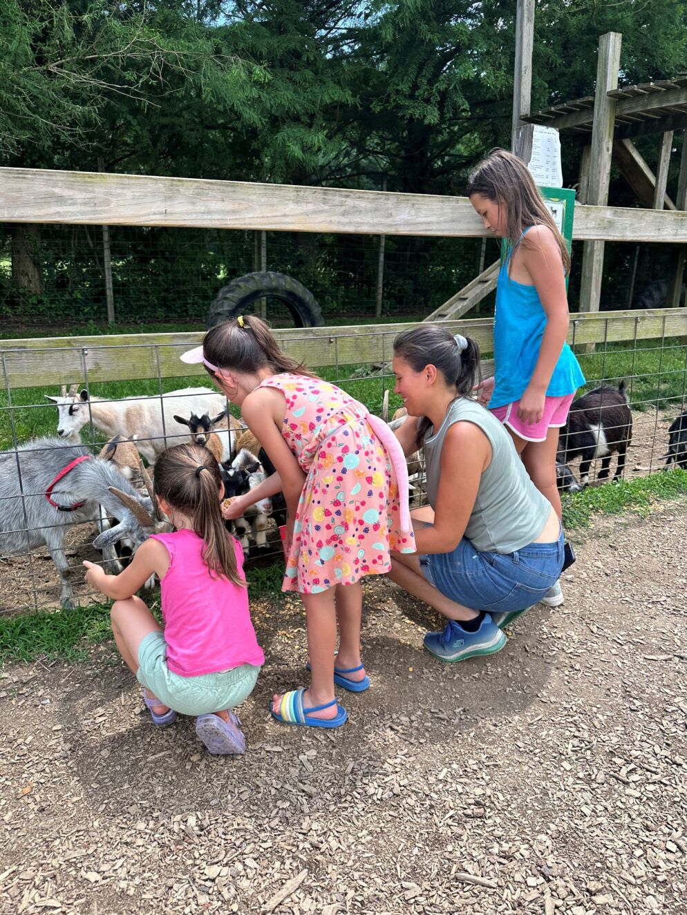Children at Clark's Elioak Farm
