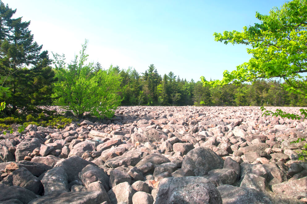 Boulder Field in Hickory Run State Park