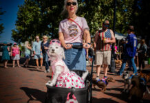 Fall Festival Fun in Baltimore This October A woman pushing a dog in a stroller. The dog is wearing a dress and sunglasses